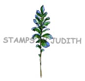 E-254-HK Sm. Leaf Stalk